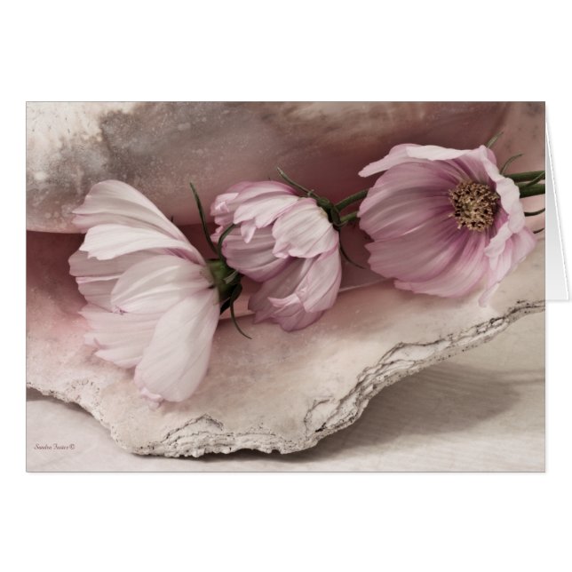 Tarjeta Cosmos Rosa (Anverso (Horizontal))