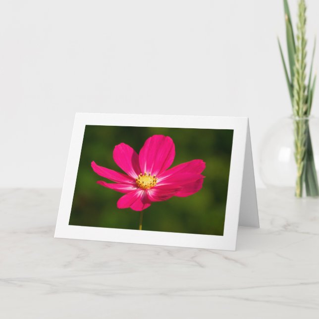 Tarjeta Cosmos rosados (bordeados) (Anverso)