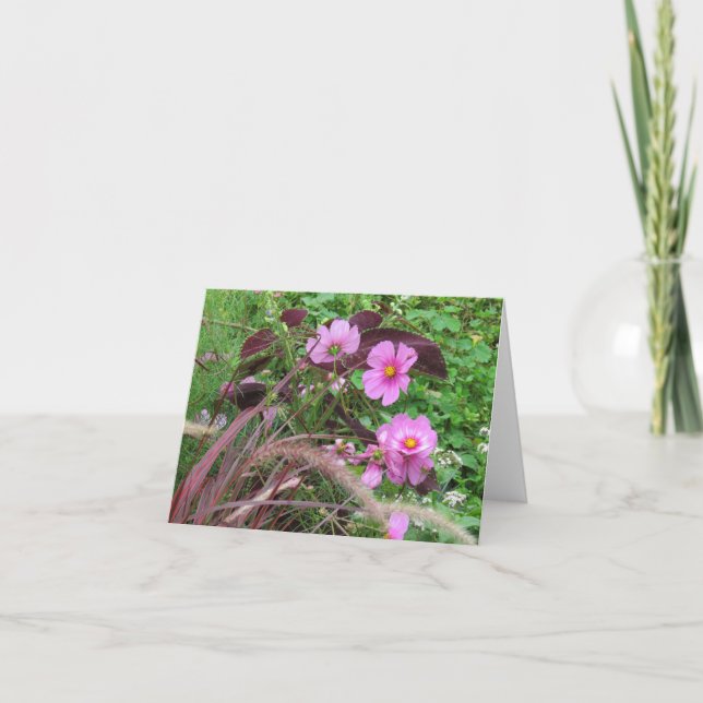 Tarjeta Cosmos rosados con Coleus (Anverso)