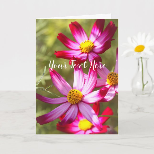 Tarjeta Cosmos [Tarjeta de felicitación] (Planta pequeña)