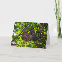 Tarjeta Costa Rica - Feliz Lazy Sloth, Antonio Manuel NP