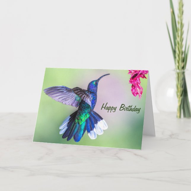 Tarjeta Costa Rica Morple Hummingbird Feliz Cumpleaños (Anverso)