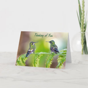 Tarjeta Costarricenses verdes colibríes piensan en ti