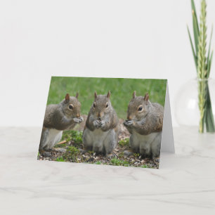 Tarjeta Cotilleo de tres amigos