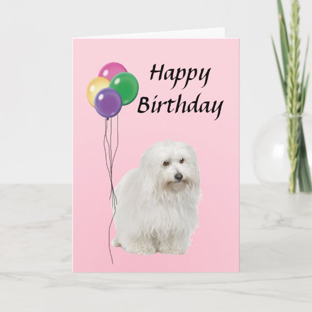 Tarjeta Coton De Tulear con globos Feliz cumpleaños (Anverso)