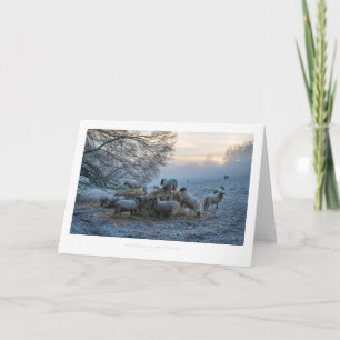 Tarjeta Cotswolds en invierno