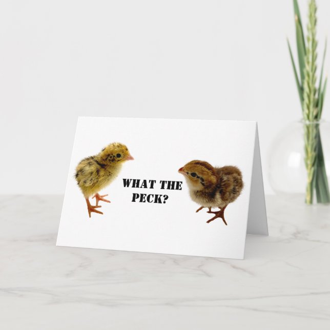 Tarjeta Coturnix y codornices de codorniz (Anverso)
