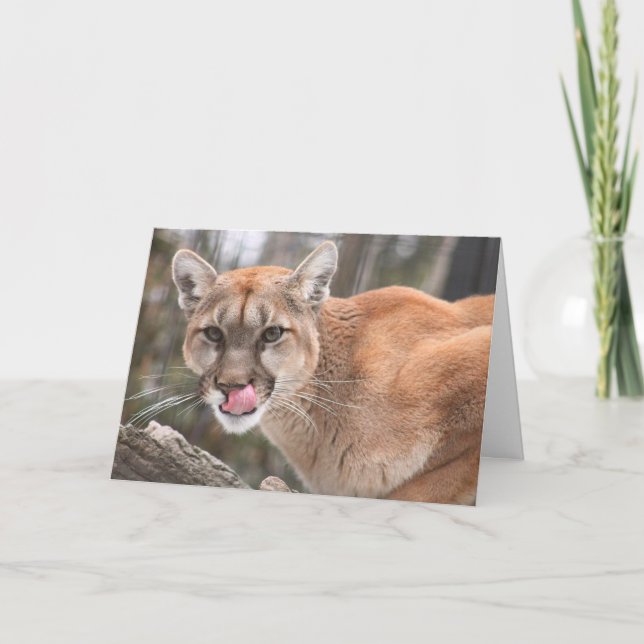 Tarjeta Cougar Big Cat Notecard (Anverso)