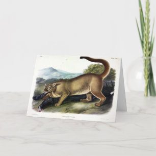 Tarjeta Cougar, o Puma, Panther, León de Montaña, Catamoun