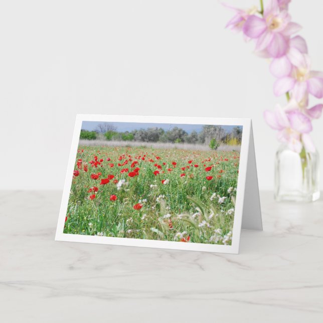 Tarjeta Country Poppy Field Card (Orquídea)