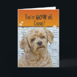 Tarjeta Cousin's Birthday<br><div class="desc">Cute expression on poodle's face for humorous Cousin's birthday.</div>