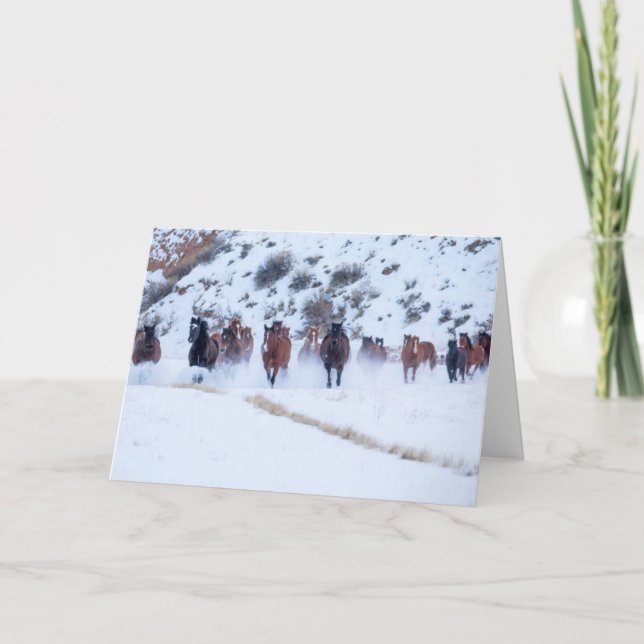 Tarjeta Cowboy Horse Drive | Hideout Ranch Shell, Wyoming (Anverso)