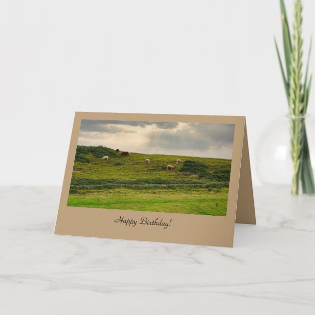 Tarjeta Cows in Pasture Birthday Greeting Card  (Anverso)
