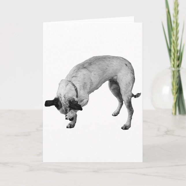 Tarjeta Coy Paw, Warm Wishes (Anverso)