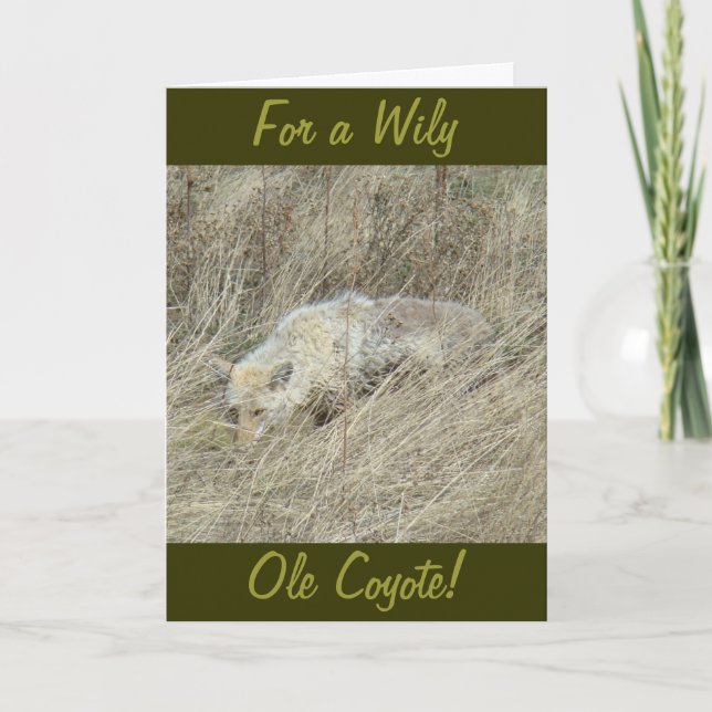 Tarjeta Coyote R13 en grano alto (Anverso)