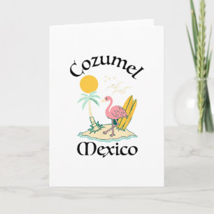 Tarjeta Cozumel México Recuerdo Vacaciones Viaje Hombres M