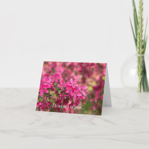 Tarjeta Crab Apple florece pensando en ti