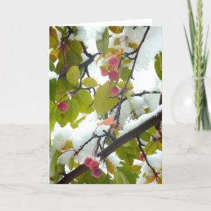 Tarjeta Crabapple: Nieve