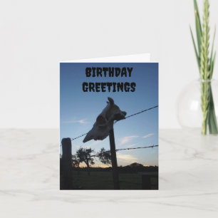 Tarjeta cráneo de vaca oscuro