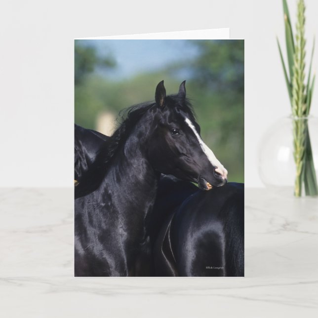 Tarjeta Crata de caballo árabe (Anverso)