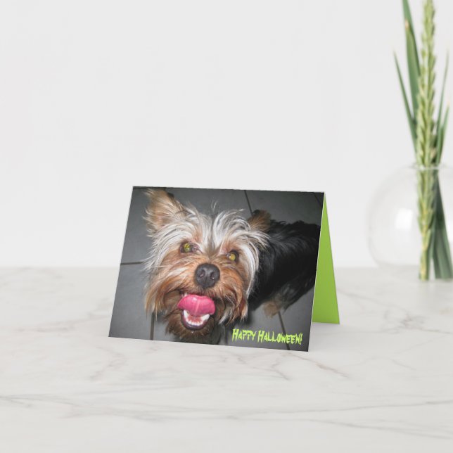 Tarjeta Crazy Jasper ~ Card (Anverso)