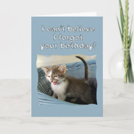 Tarjeta Crazy Kitten Belthday