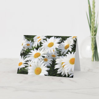 Tarjeta Crecimiento de flores de la margarita blanco