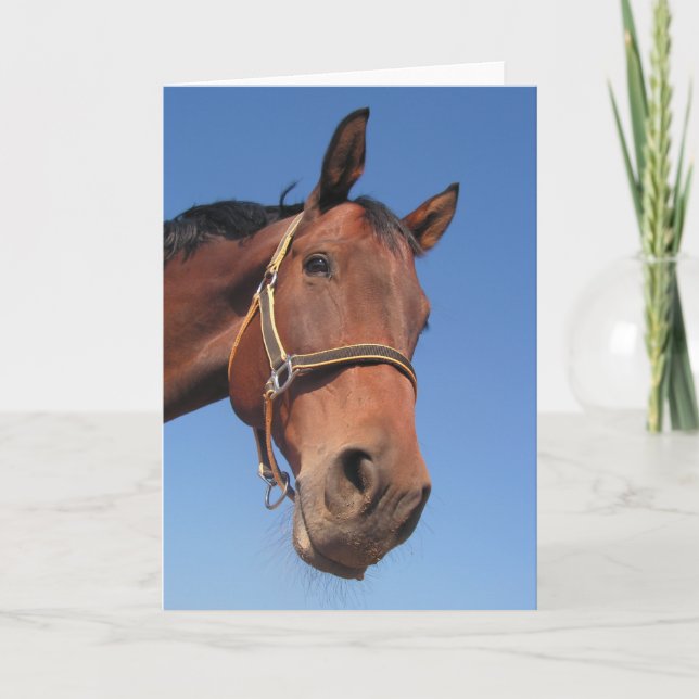 Tarjeta Cree su propio regalo de encargo de la foto (Anverso)