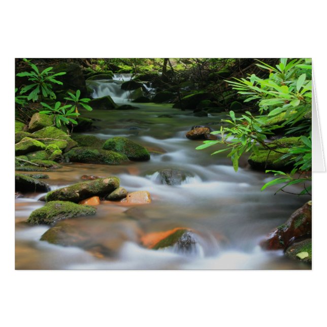 Tarjeta Creek (Anverso (Horizontal))