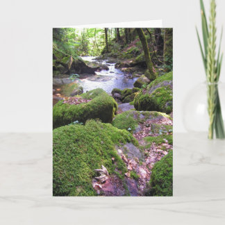 Tarjeta Creek de país