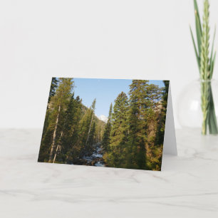 Tarjeta Creek en cascada en Grand Teton