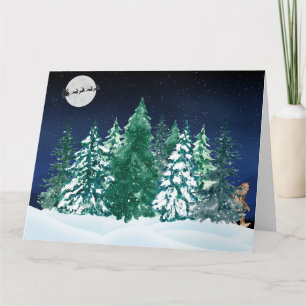 Tarjeta Creencias de la temporada