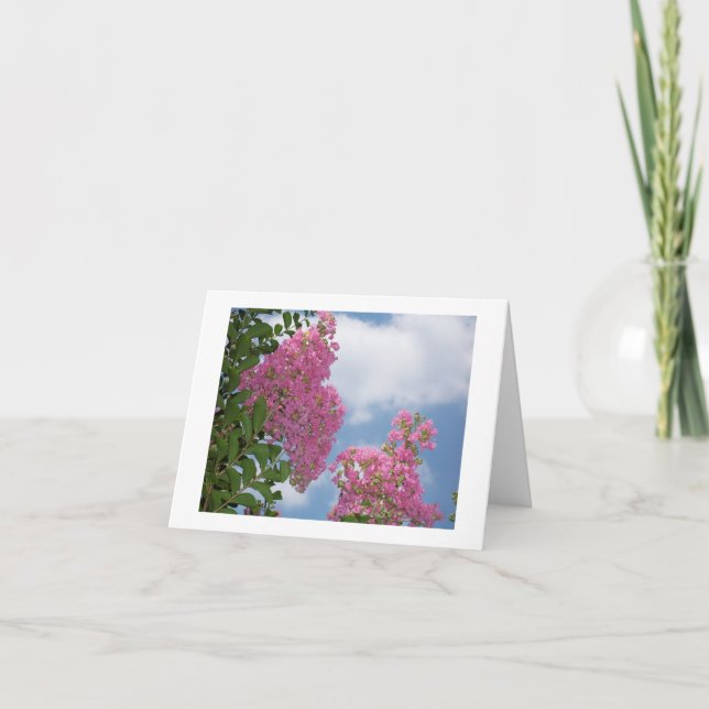 Tarjeta Crepe Myrtle Note Card (Anverso)