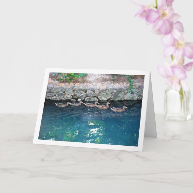 Tarjeta Cría de patos en majestuosa agua azul (Orquídea)