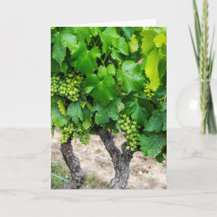 Tarjeta Cría de uvas de vino, Francia