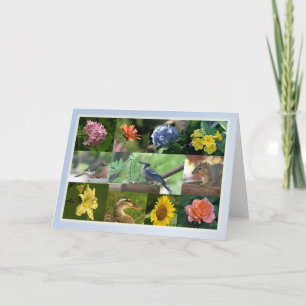 Tarjeta Criaturas y colección de creación