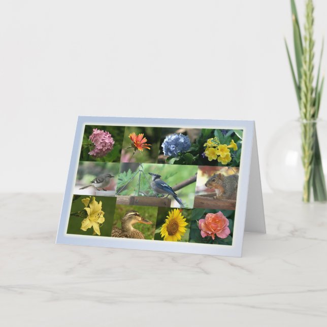 Tarjeta Criaturas y colección de creación (Anverso)