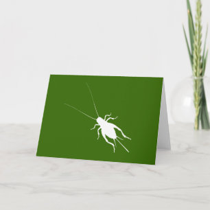 Tarjeta Cricket blanco