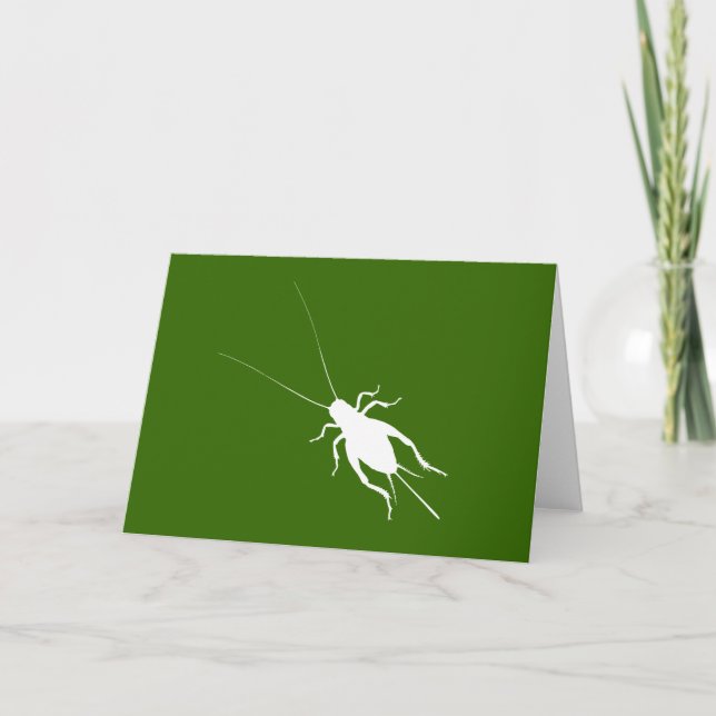 Tarjeta Cricket blanco (Anverso)