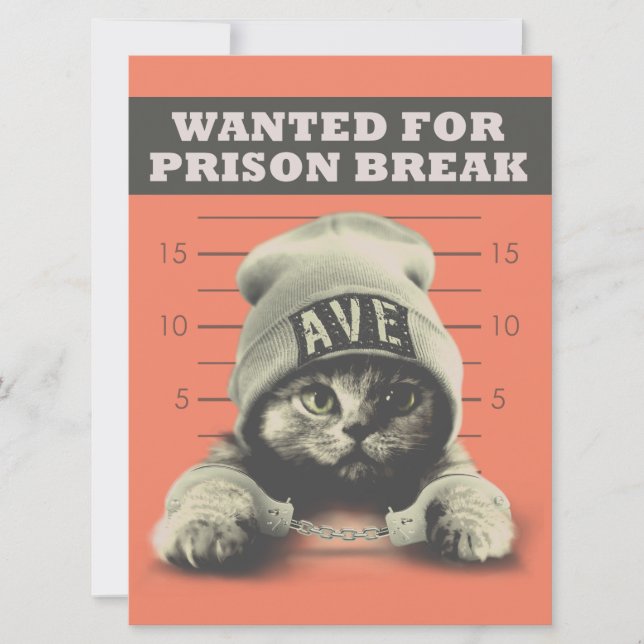 Tarjeta Crimen Kitty (Anverso)