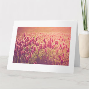 Tarjeta Crimson Clover Nature Flores Big