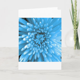 Tarjeta Crisantemo Azul