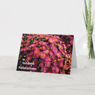 Tarjeta Crisantemos / Magenta / Saludos de otoño