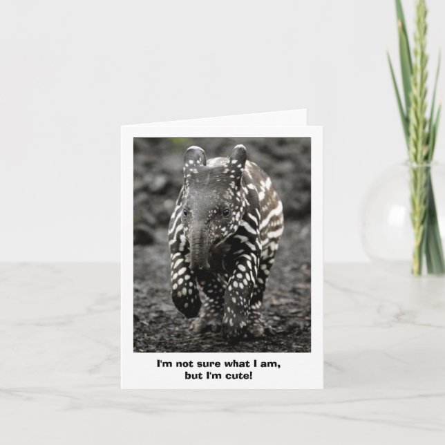 Tarjeta Critter del misterio (Anverso)