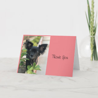 Tarjeta Critter Sitter LV LAGUNA