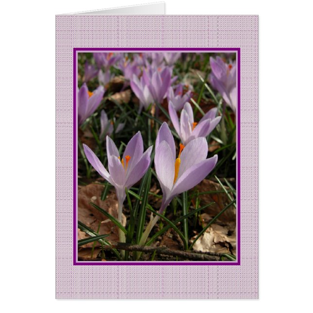 Tarjeta Crocus (Frente)