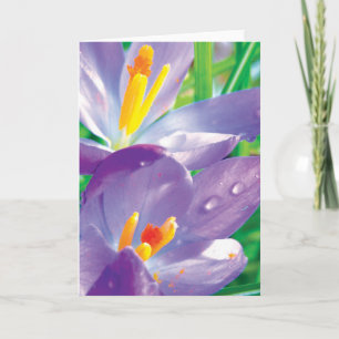 Tarjeta Crocus con poesía de flores coloradas