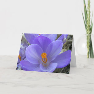 Tarjeta Crocus Easter