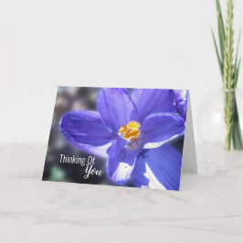 Tarjeta Crocus Purple Pensando En Ti