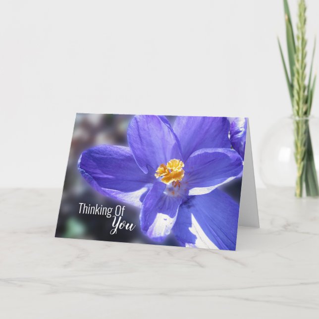 Tarjeta Crocus Purple Pensando En Ti (Anverso)